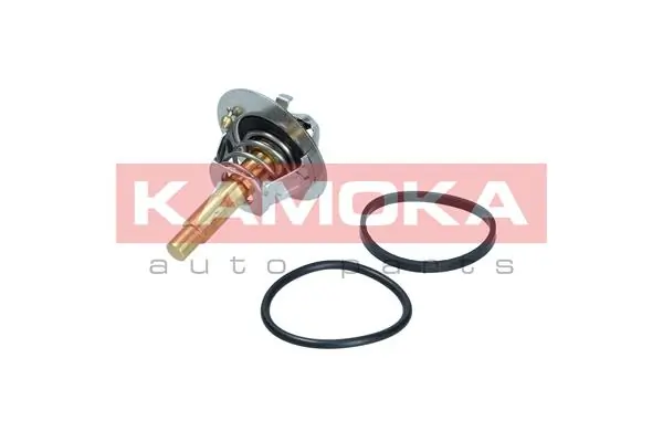 7710175 Kamoka