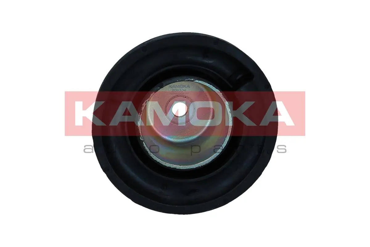 209334 Kamoka