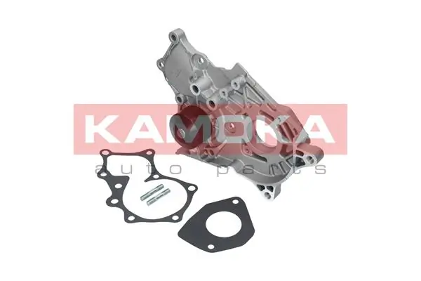 T0264 Kamoka