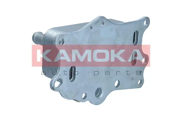 Do koszyka 25192111 Peugeot/Citroen Chłodnica oleju, pod filtrem