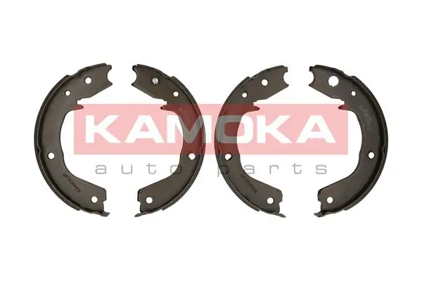 JQ212032 Kamoka