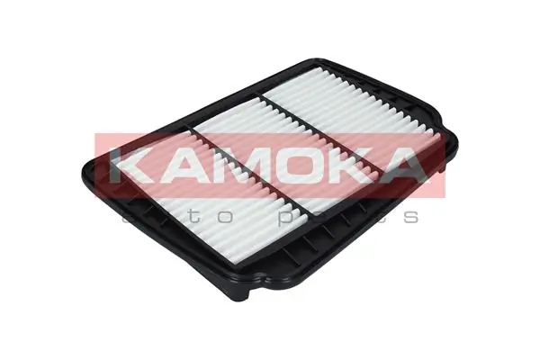F223001 Kamoka