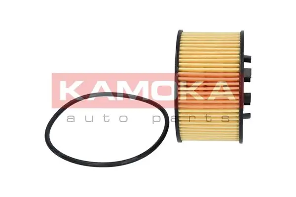 F103001 Kamoka