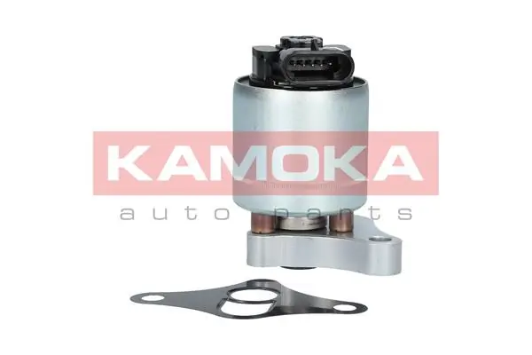 19002 Kamoka