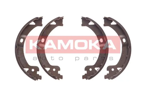 JQ212053 Kamoka