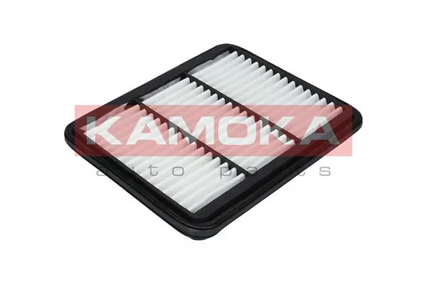 F223101 Kamoka