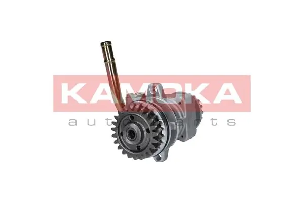 PP198 Kamoka