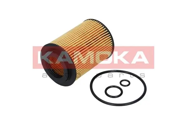F111901 Kamoka
