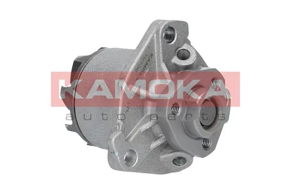 T0138 Kamoka