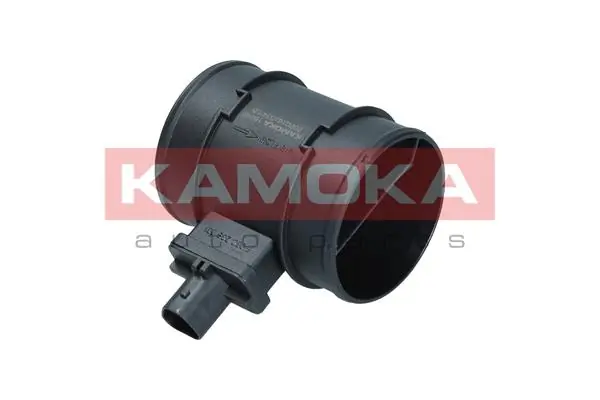 18046 Kamoka