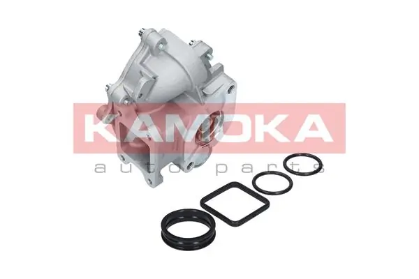 T0049 Kamoka