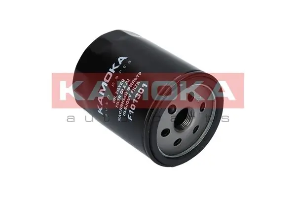 F101301 Kamoka