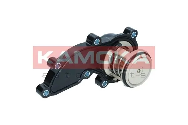 7710186 Kamoka