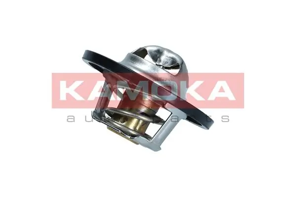 7710072 Kamoka