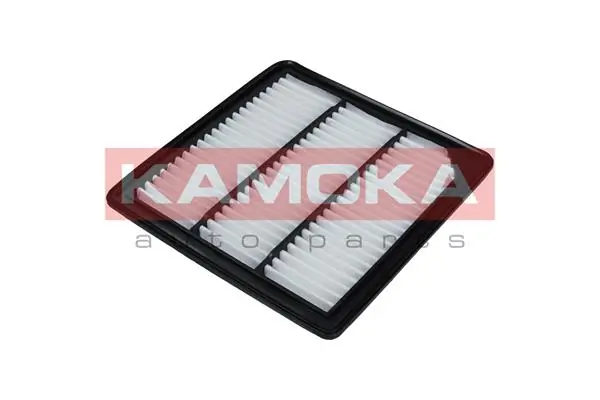 F238101 Kamoka