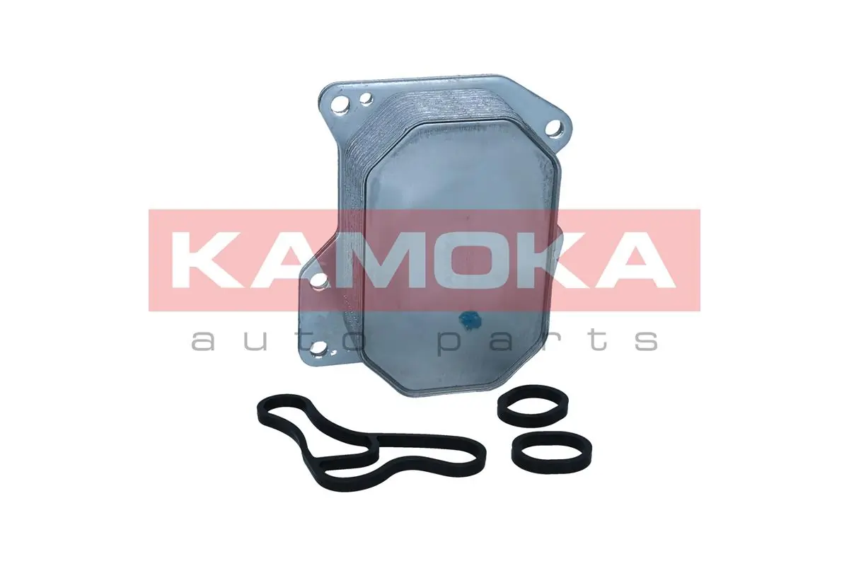 7730046 Kamoka