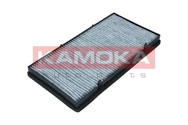F519101 Kamoka
