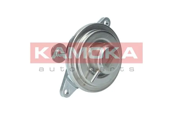 19012 Kamoka