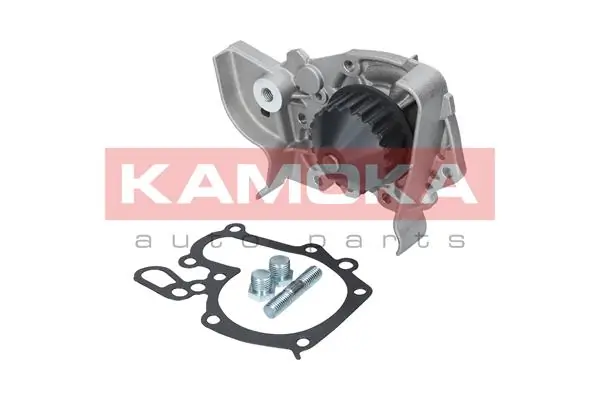 T0243 Kamoka