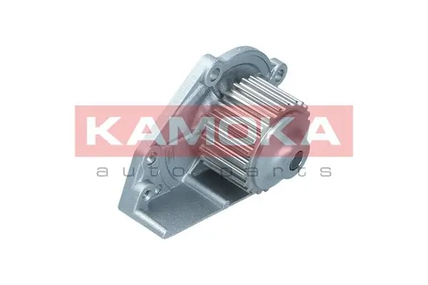  Pompa chłodząca wodna Rover 75 