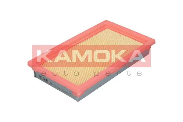 F211901 Kamoka