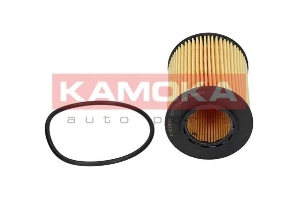 F102801 Kamoka