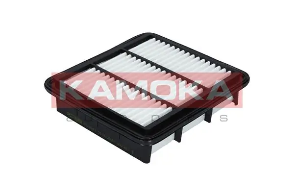 F213001 Kamoka