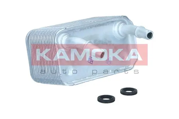 7730151 Kamoka