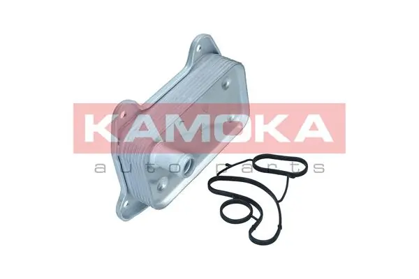 7730011 Kamoka