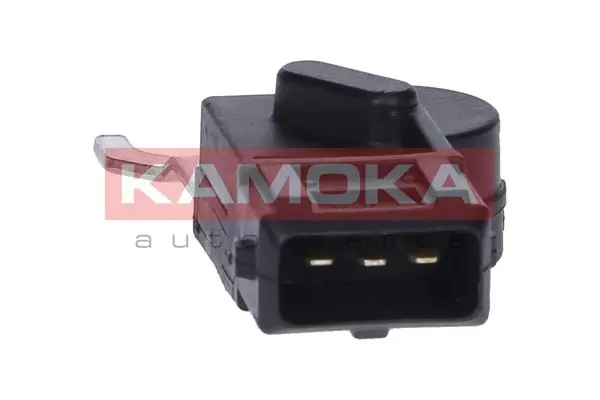108021 Kamoka