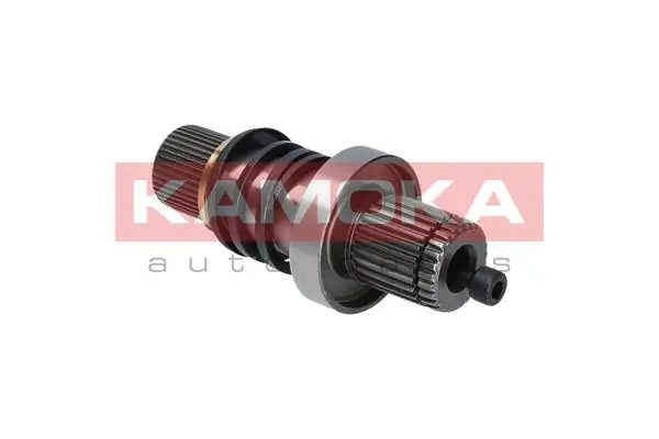 VW111002 Kamoka