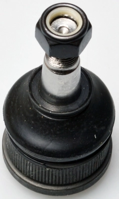 D110121 Denckermann