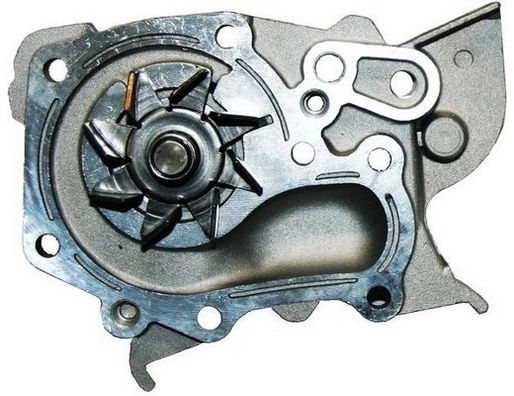 A310037P Denckermann