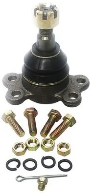 D110101 Denckermann