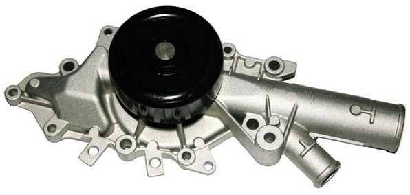 A310099P Denckermann