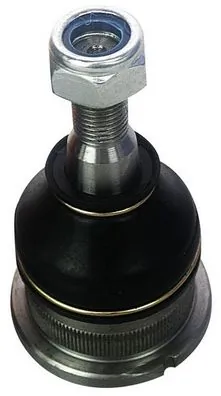 D110028 Denckermann
