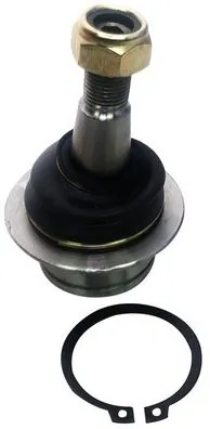 D120186 Denckermann