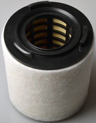 A141633 Denckermann