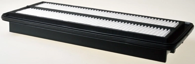A141352 Denckermann