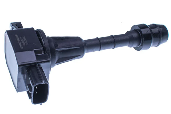 E100065 Denckermann
