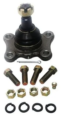 D110142 Denckermann
