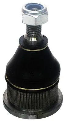 D110058 Denckermann