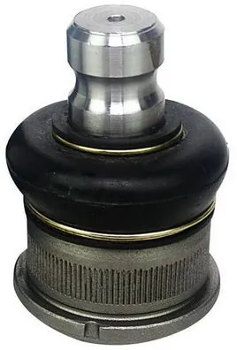 D110059 Denckermann