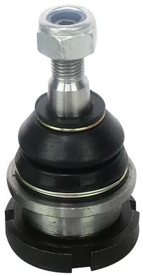 D110139 Denckermann