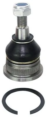 D110199 Denckermann