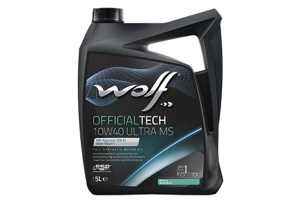 8307317 Wolf