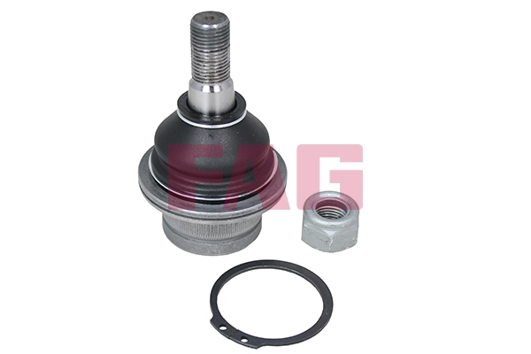 Sworzeń wahacza dolny Ford Explorer SUV (U2) (1994 - 2002) cena, od 21,84 USD
