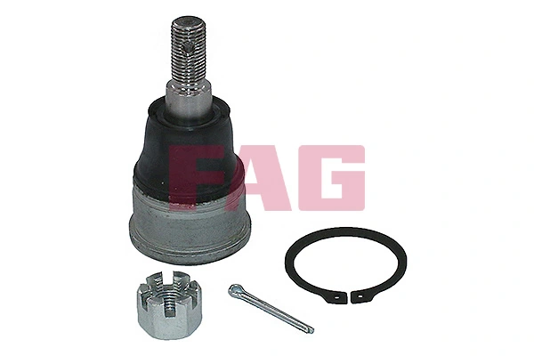  Sworzeń wahacza dolny Honda CR-V 2