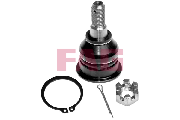 Sworzeń wahacza dolny Nissan Maxima sedana (A32) (1994 - 2000) cena, od 13,04 USD