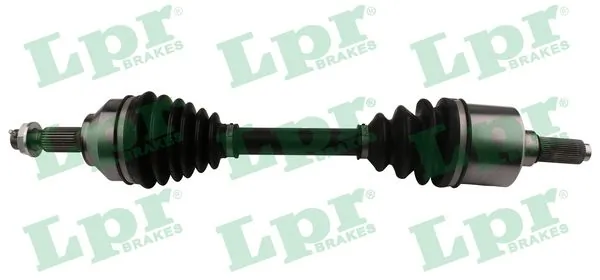 DS60194 LPR